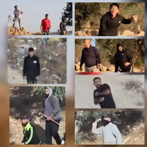 Operation “Olive Leaf”: Jews Arrested, Arab Stone-Throwers Walk Free