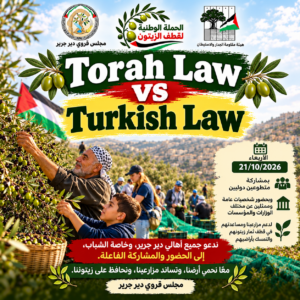 Olives Harvesting: Torah Law vs Turkish Law
